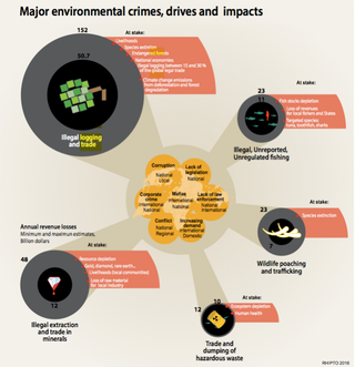 major-environmental-crimes